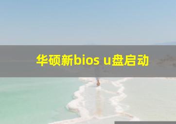 华硕新bios u盘启动